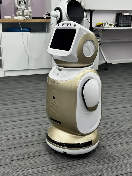 Sanbot Nano — 1/5